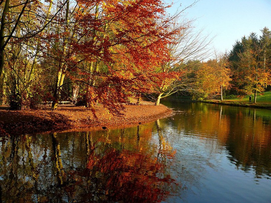 Золотая осень - река, лес, пейзаж. природа. осень - оригинал