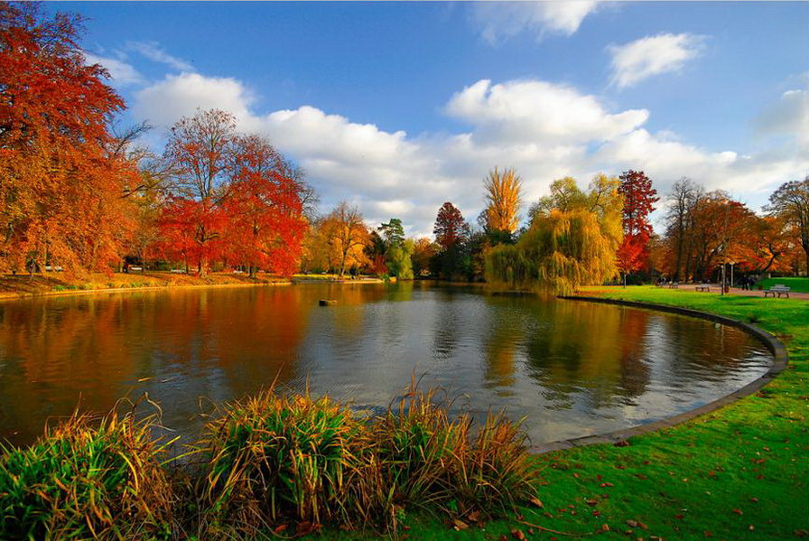 Осень в парке - природа. пруд, пейзаж. осень - оригинал