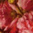 Предпросмотр схемы вышивки «натюрморт с розами» (№891701)