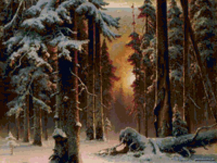 зимний лес - пейзаж, солнце, сосны, природа. зима - предпросмотр