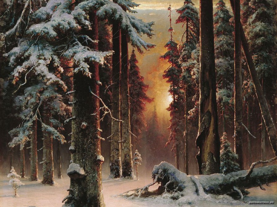 зимний лес - природа. зима, пейзаж - оригинал