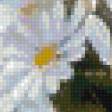 Предпросмотр схемы вышивки «Нежные цветы» (№892688)