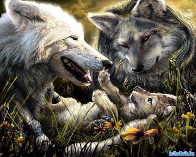 Волки - семья волки любовь нежность - оригинал