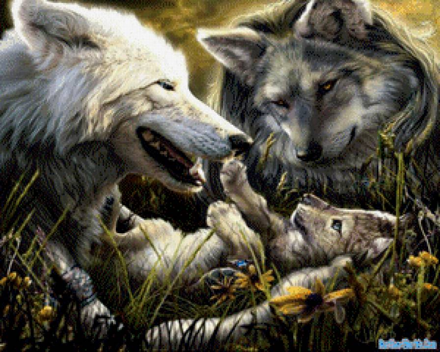 Волки - семья волки любовь нежность - предпросмотр