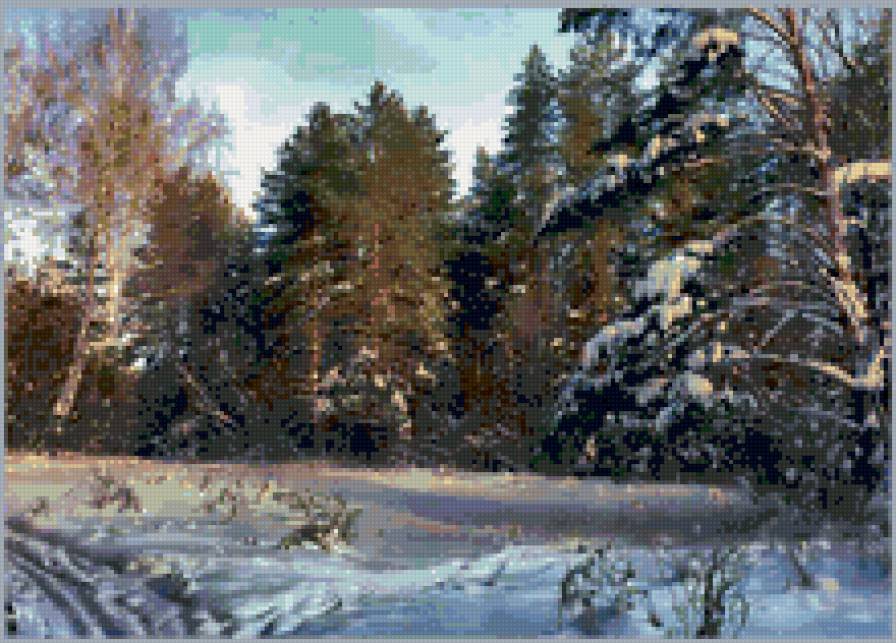 зимний лес - зима, пейзаж. природа. лес. сосны - предпросмотр