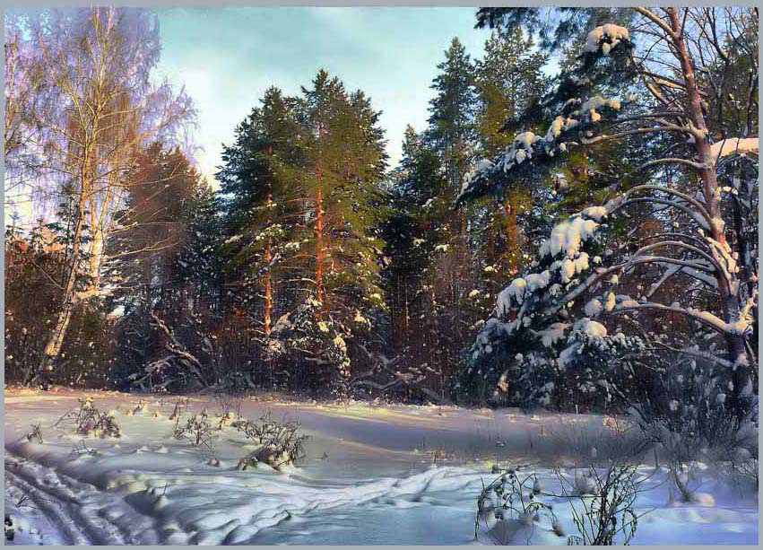 зимний лес - пейзаж, природа. зима, сосны - оригинал