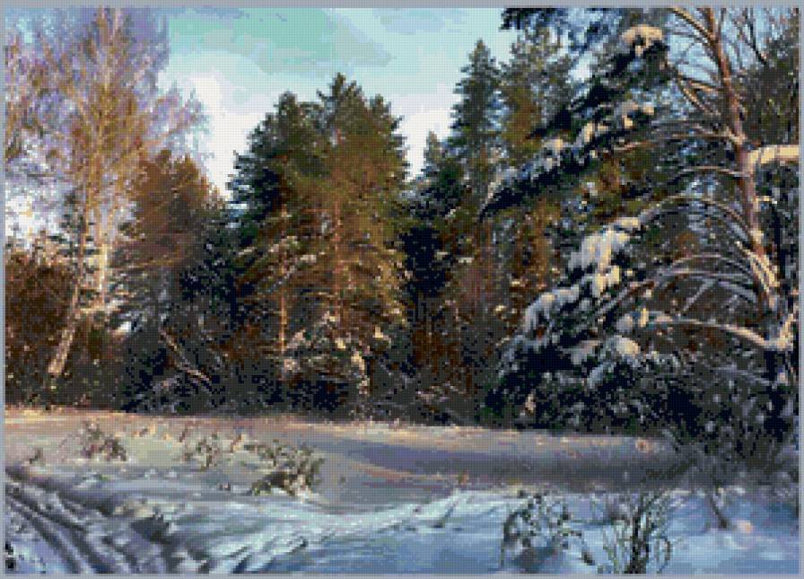 зимний лес - пейзаж, сосны, природа. зима - предпросмотр
