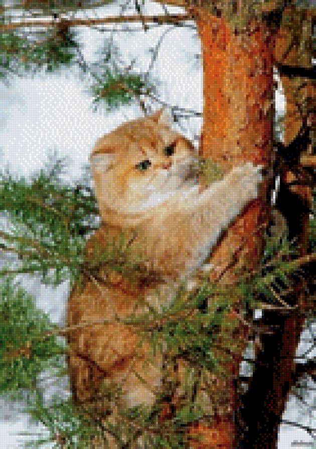 Лесной кот - кот, животные - предпросмотр