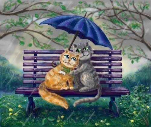 Под дождем - коты.дождь - оригинал