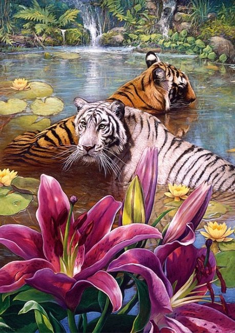 Купание тигров в Джунглях - хищник, тигры, джунгли, тигр, вода - оригинал