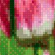 Предпросмотр схемы вышивки «Тюльпаны» (№895773)