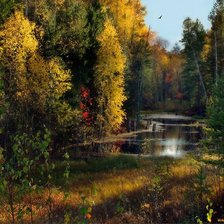 Золотая осень