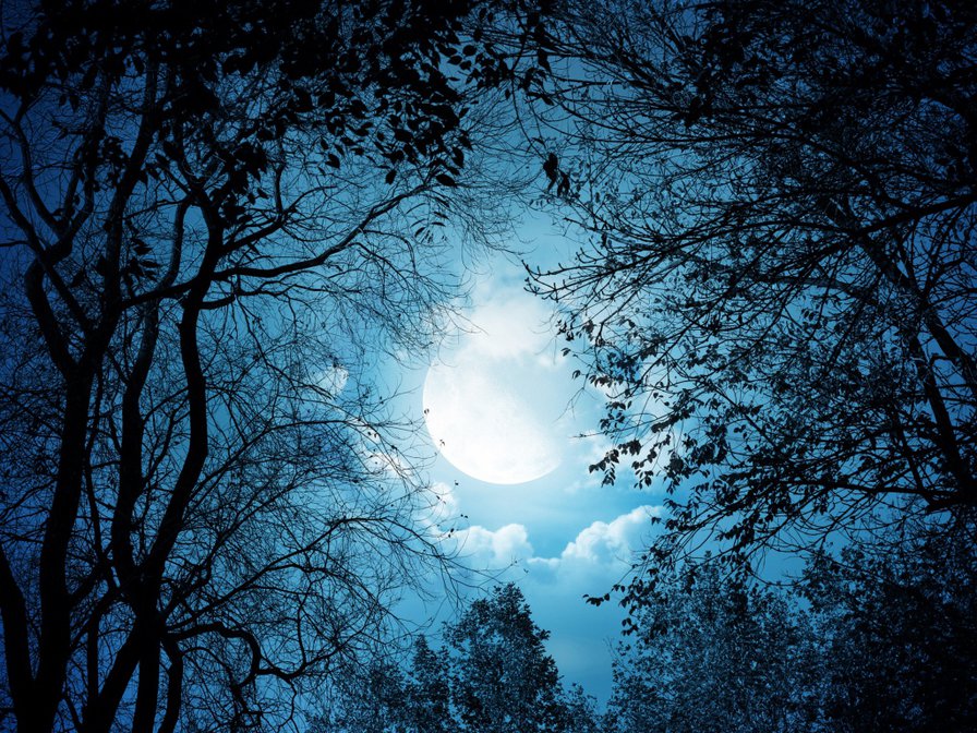 полнолуние - небо, луна, ночь - оригинал