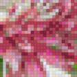 Предпросмотр схемы вышивки «хризантемы» (№897887)