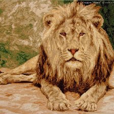 Оригинал схемы вышивки «Африканский лев» (№898302)