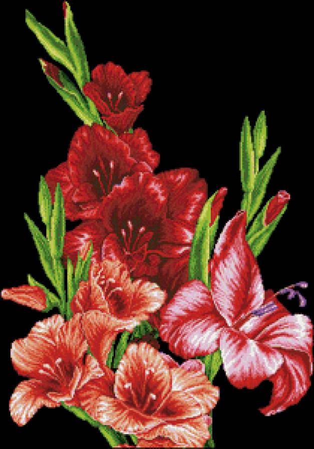 Гладиолусы - гладиолусы, цветы - предпросмотр