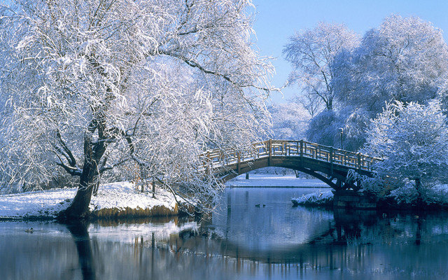 Зима - природа, дерево, пейзаж, мост, времена года - оригинал