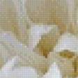 Предпросмотр схемы вышивки «Хризантема» (№901027)