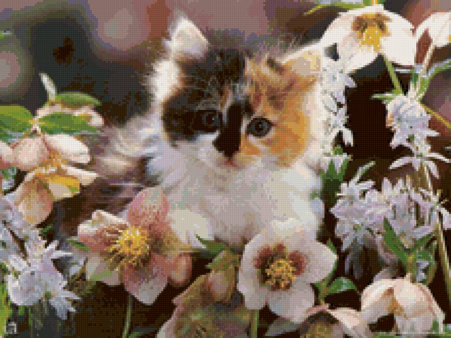 котенок в цветах - кошки, животные - предпросмотр