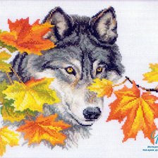Оригинал схемы вышивки «волк» (№901842)
