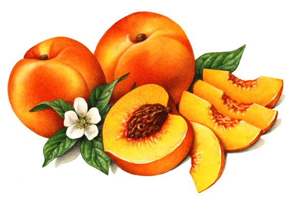 Персики - фрукты, на кухню, персик - оригинал