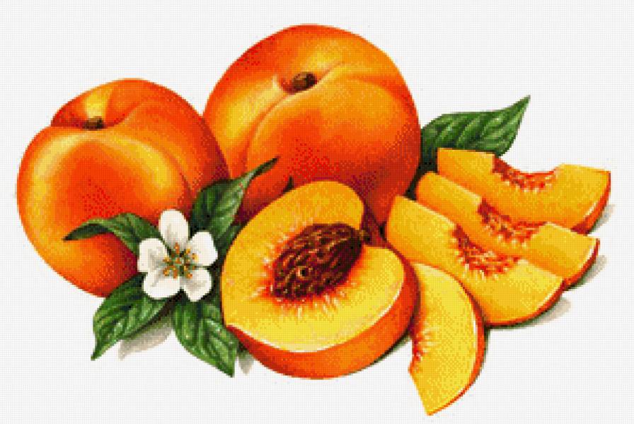 Персики - фрукты, персик, на кухню - предпросмотр