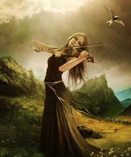 скрипачка - музыкальный инструмент, девушка, скрипка - оригинал