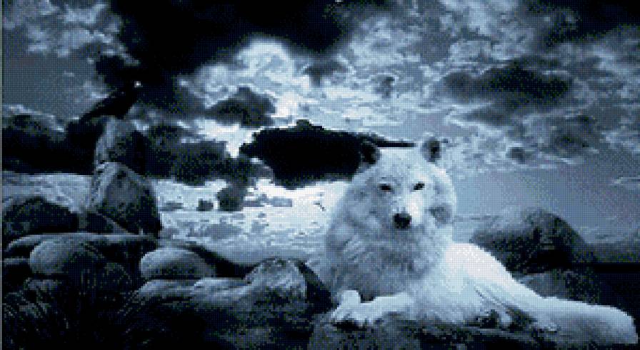 Волк - волки, луна, животные - предпросмотр