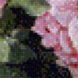 Предпросмотр схемы вышивки «Пионы и розы» (№904351)