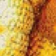 Предпросмотр схемы вышивки «Золотой дракон» (№904420)