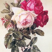 Оригинал схемы вышивки «розы и пчёлы» (№906460)
