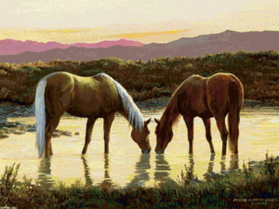 лошадиная пара - природа, любовь, пейзаж, водопой, пара, река, лошади, животные - предпросмотр