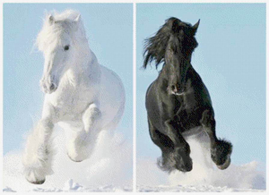 Белое и черное - инь янь кони полиптих - предпросмотр
