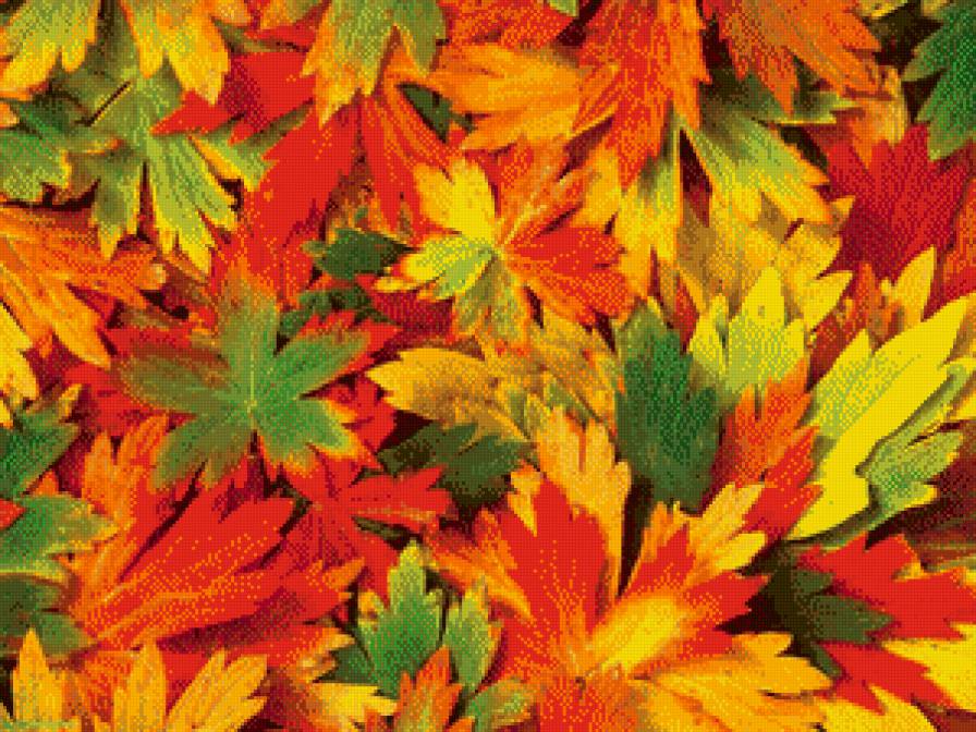 Осень - листья, природа, осень - предпросмотр