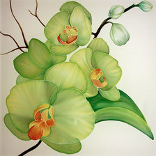 Оригинал схемы вышивки «ветка орхидеи» (№907713)