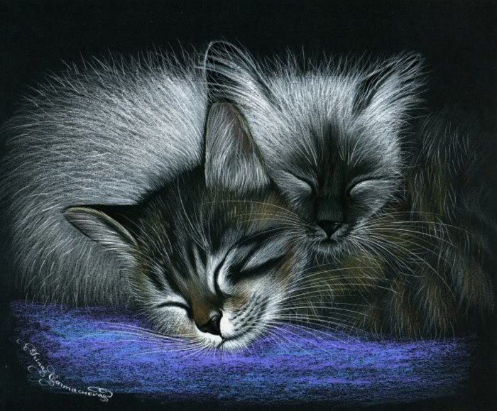спящие котята - котята, животные - оригинал