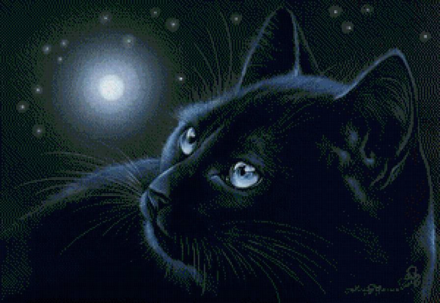 кот и луна - животные, лина, кот - предпросмотр