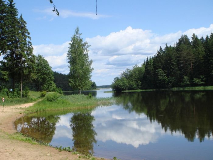 Озеро Селигер - озеро, пейзаж, лес, природа - оригинал