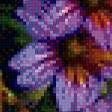 Предпросмотр схемы вышивки «садовые цветы» (№909000)