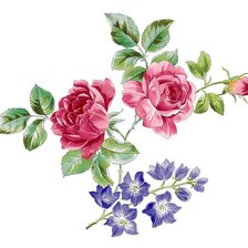 Оригинал схемы вышивки «серия "розы"» (№911878)