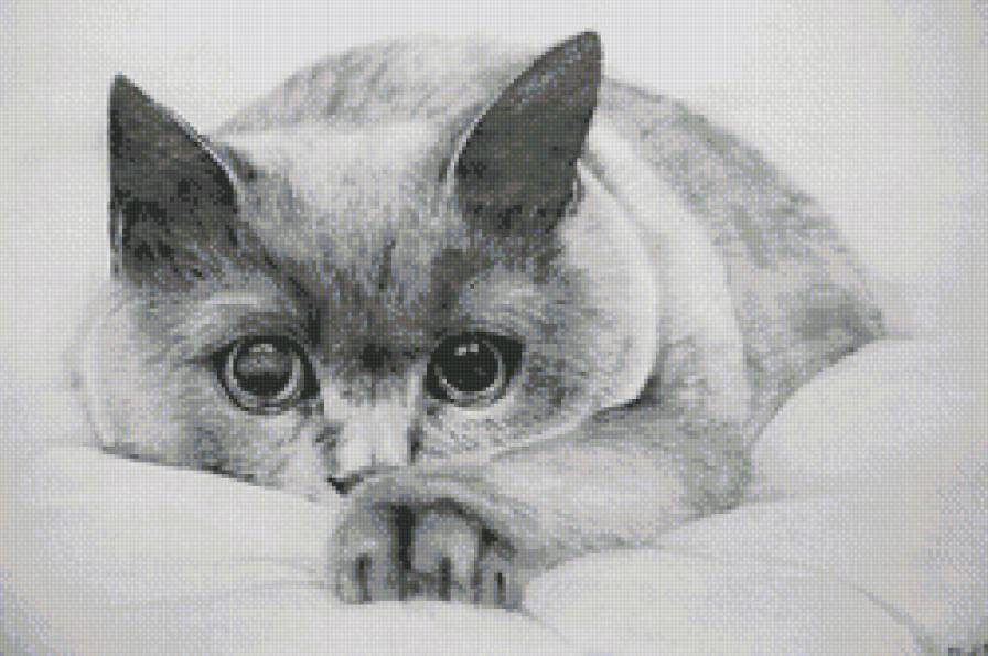 кошка карандашный рисунок монохром - чорно-белое, монохром, кошка, котенок, кот - предпросмотр