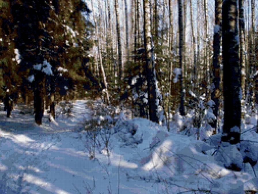 зимний лес - лес, пейзаж, зима, природа - предпросмотр