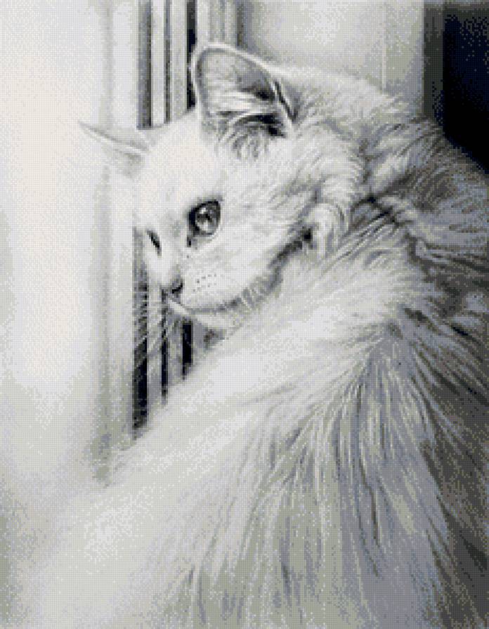 белая кошка монохром - котенок, животные, черно-белое, картина, кошка, кот, монохром - предпросмотр