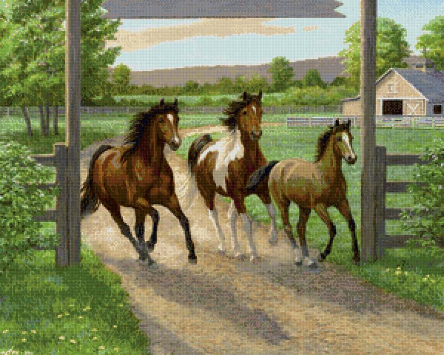 тройка лошадей - природа, тройка, лошади, ферма, животные - предпросмотр