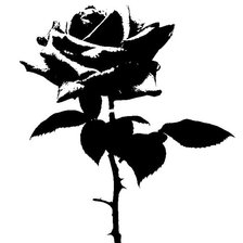 Оригинал схемы вышивки «роза» (№915553)