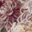 Предпросмотр схемы вышивки «японские хризантемы» (№916398)
