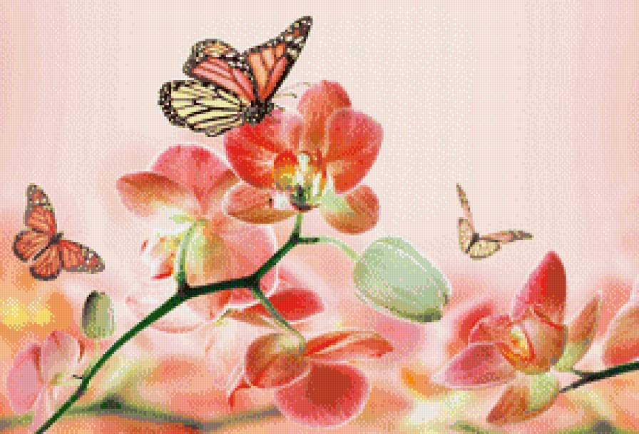№916687 - рисунок, цветы, бабочки - предпросмотр
