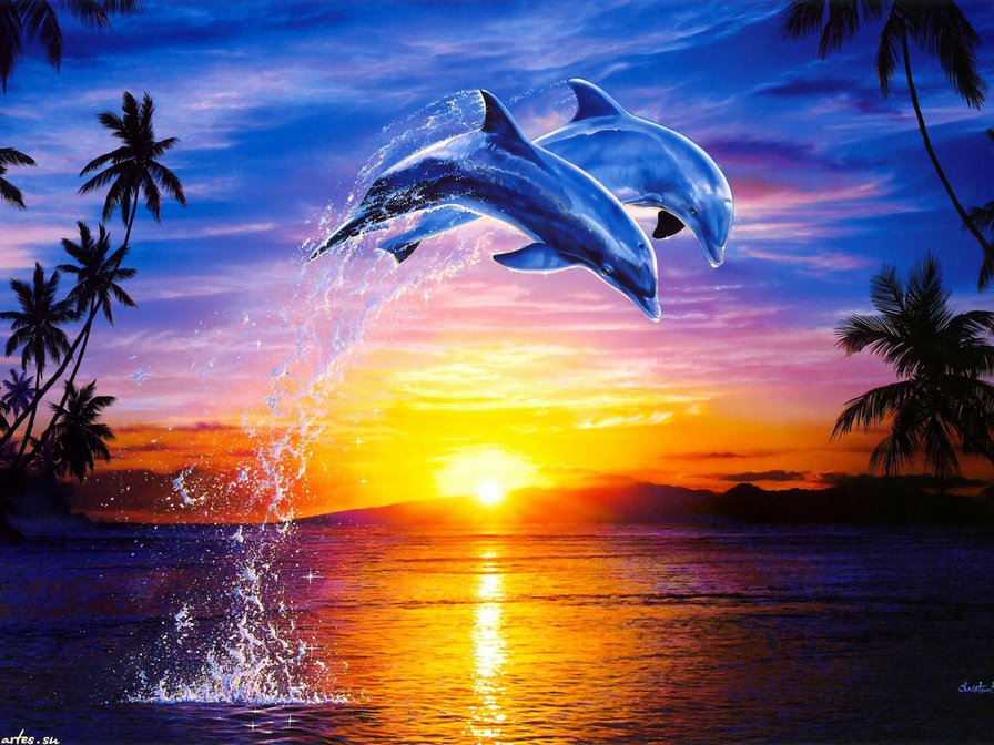 пара дельфинов на закате - закат, рыбы, океан, пара, любовь, море, дельфины - оригинал