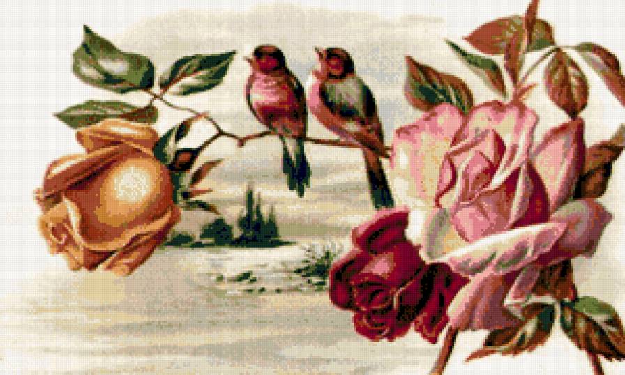 Птицы - розы, птицы, цветы - предпросмотр