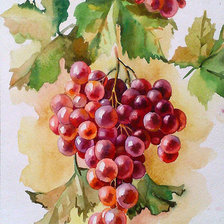 гроздь сочного винограда
